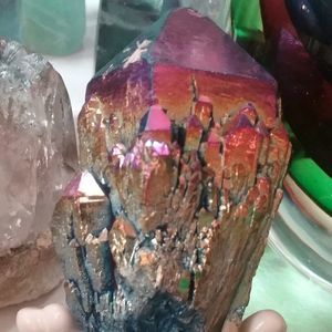 Meet your Posher, Teri